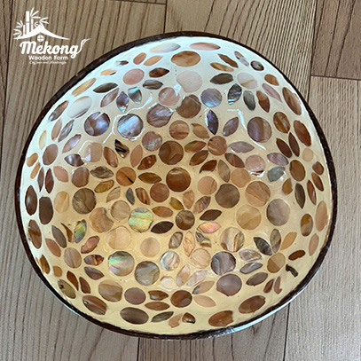Coconut Shell Bowl